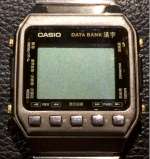 casio DKW-100SG-T